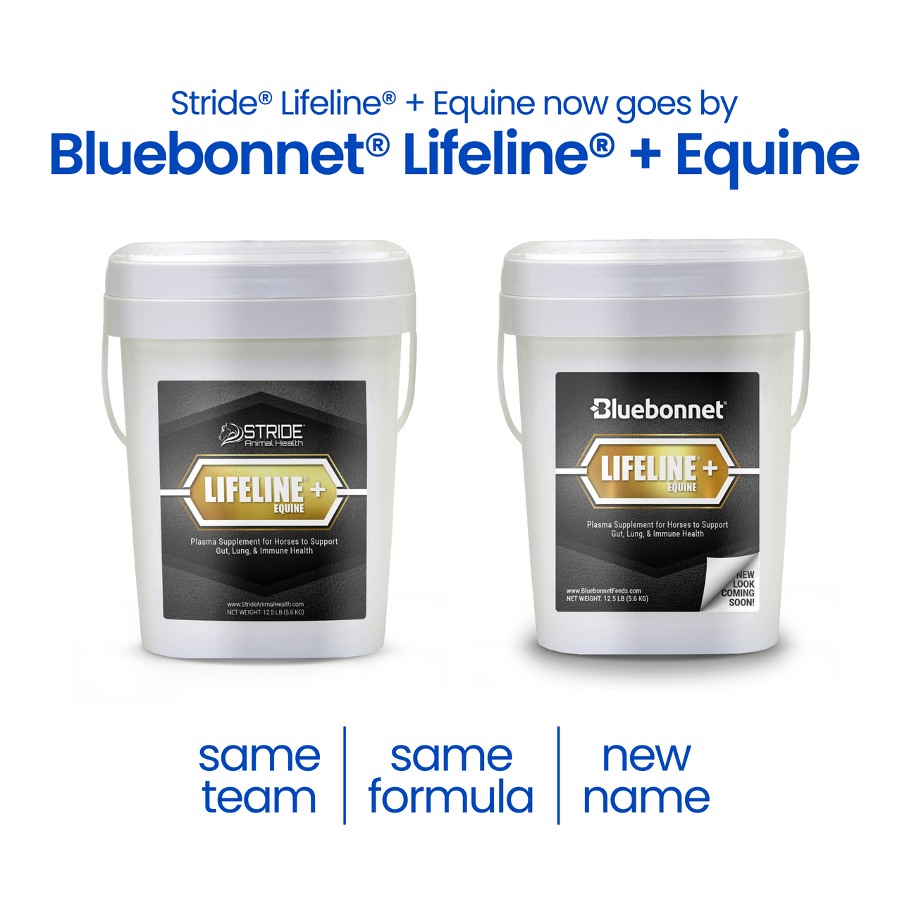 LIFELINE®+ Equine