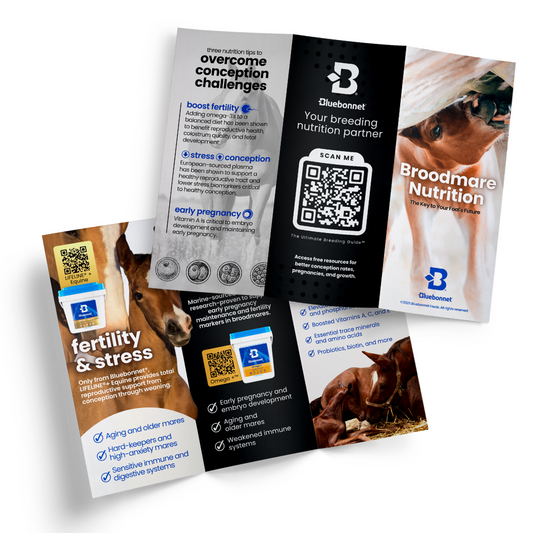 Brochure | Broodmare