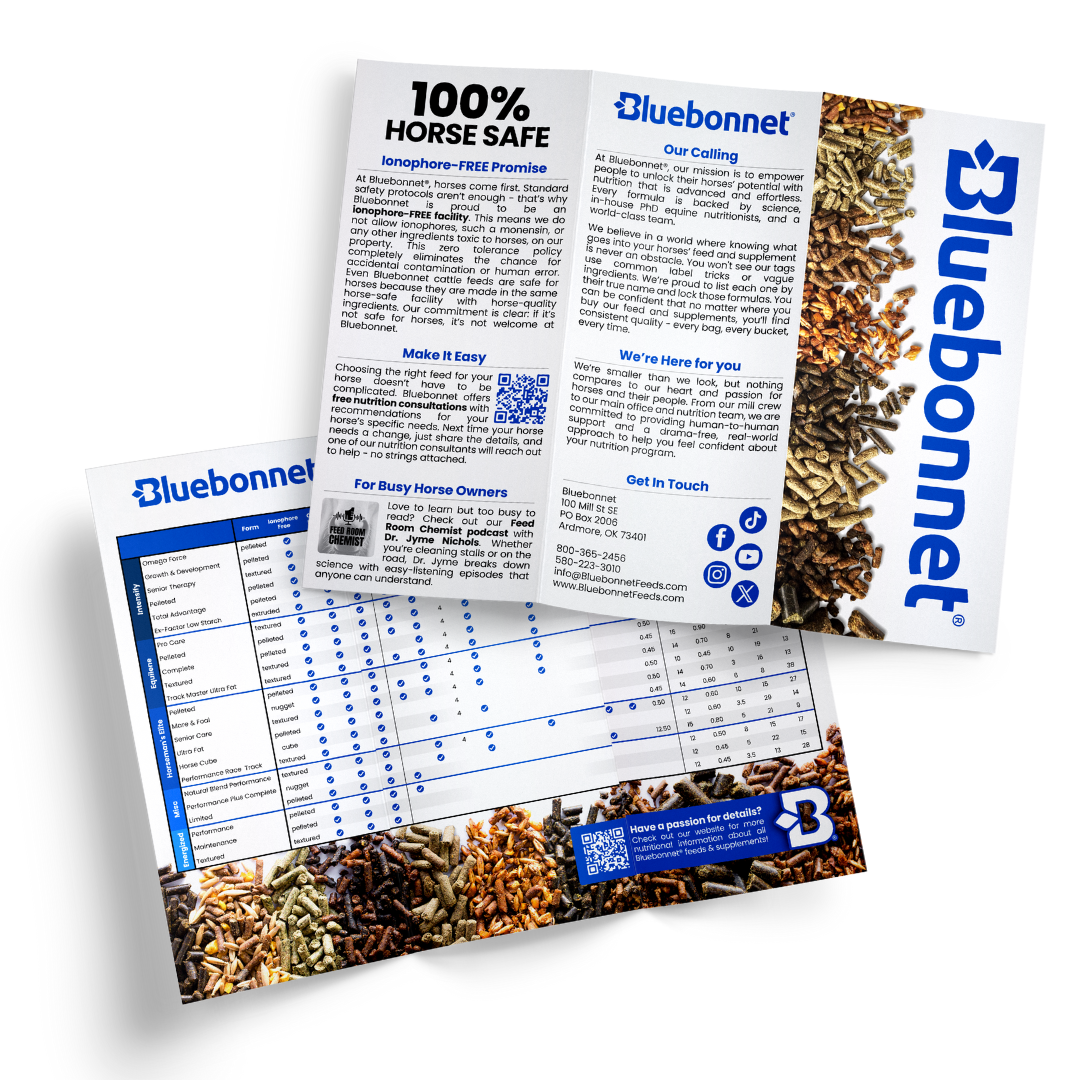 Brochure | Equine Feeds