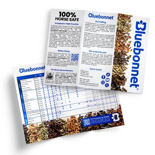 Brochure | Equine Feeds