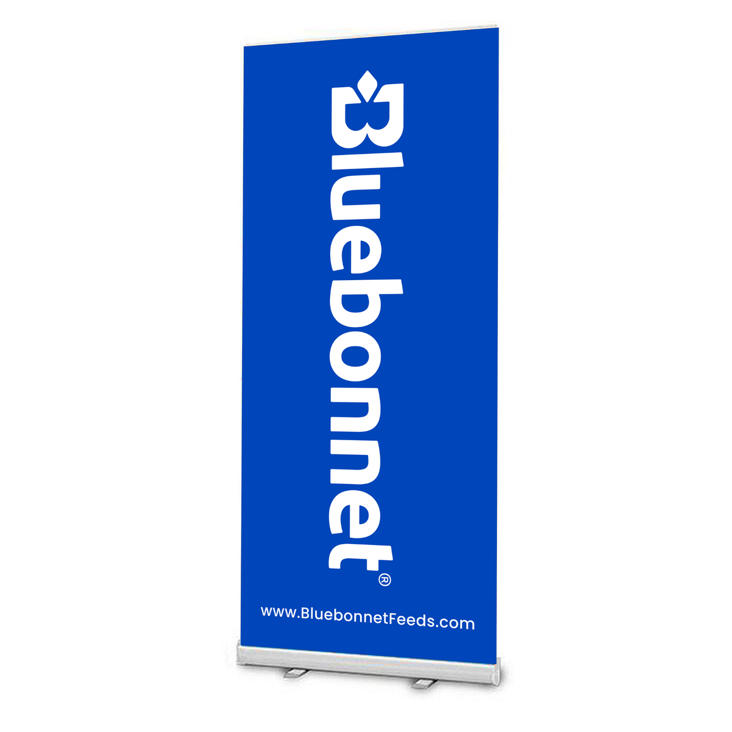 Banner Pop Up