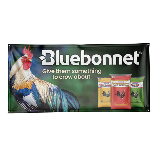 Banner | Poultry Game Bird ENGLISH 6X3