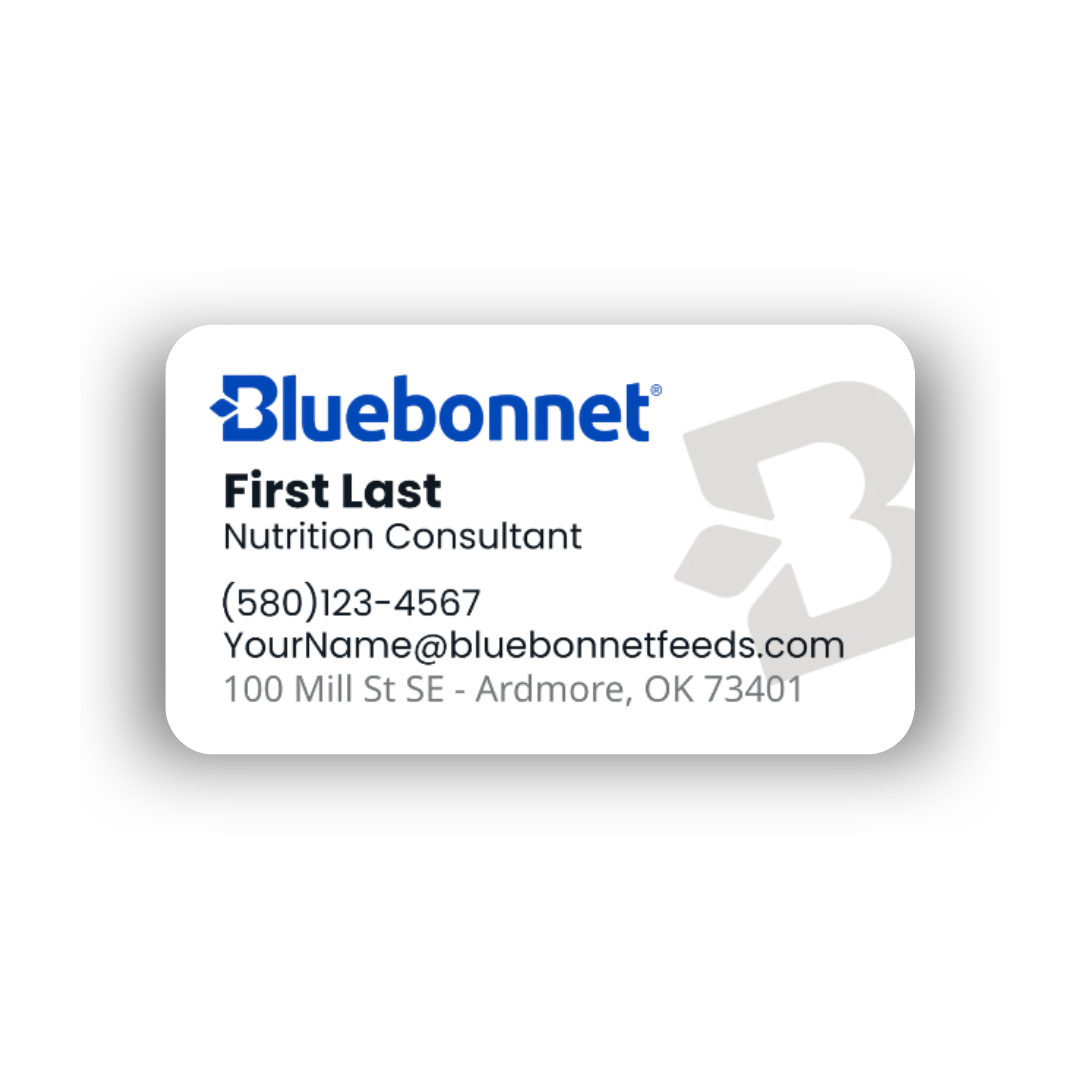 Business Cards