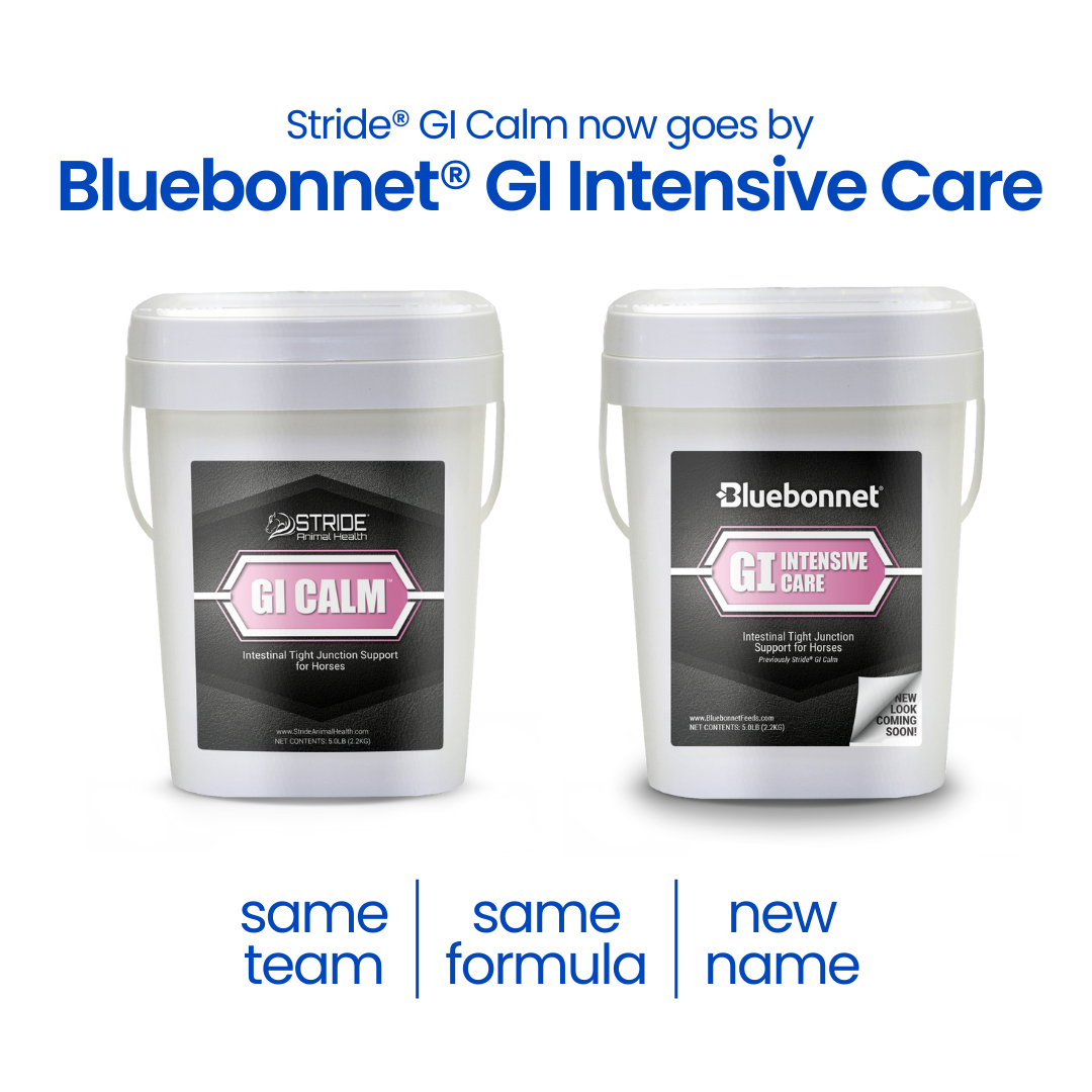 GI Intensive Care™ (GI Calm)