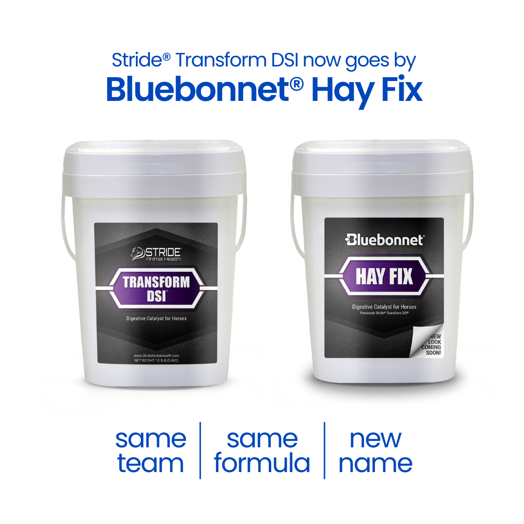 Hay Fix™ (Transform DSI® Pellet)