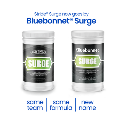 Surge™